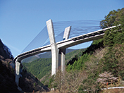 2010年竣工 夢翔大橋