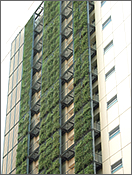 壁面緑化の実施例