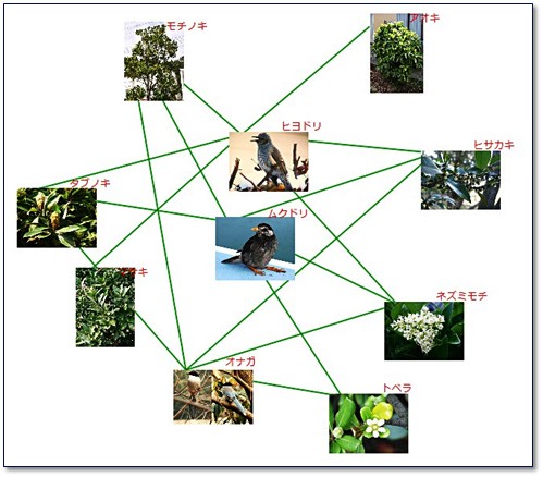 生物間ネットワークの例