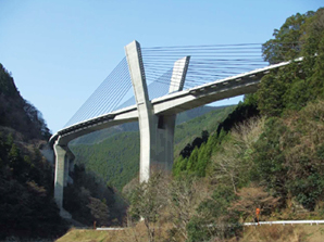 夢翔大橋全景