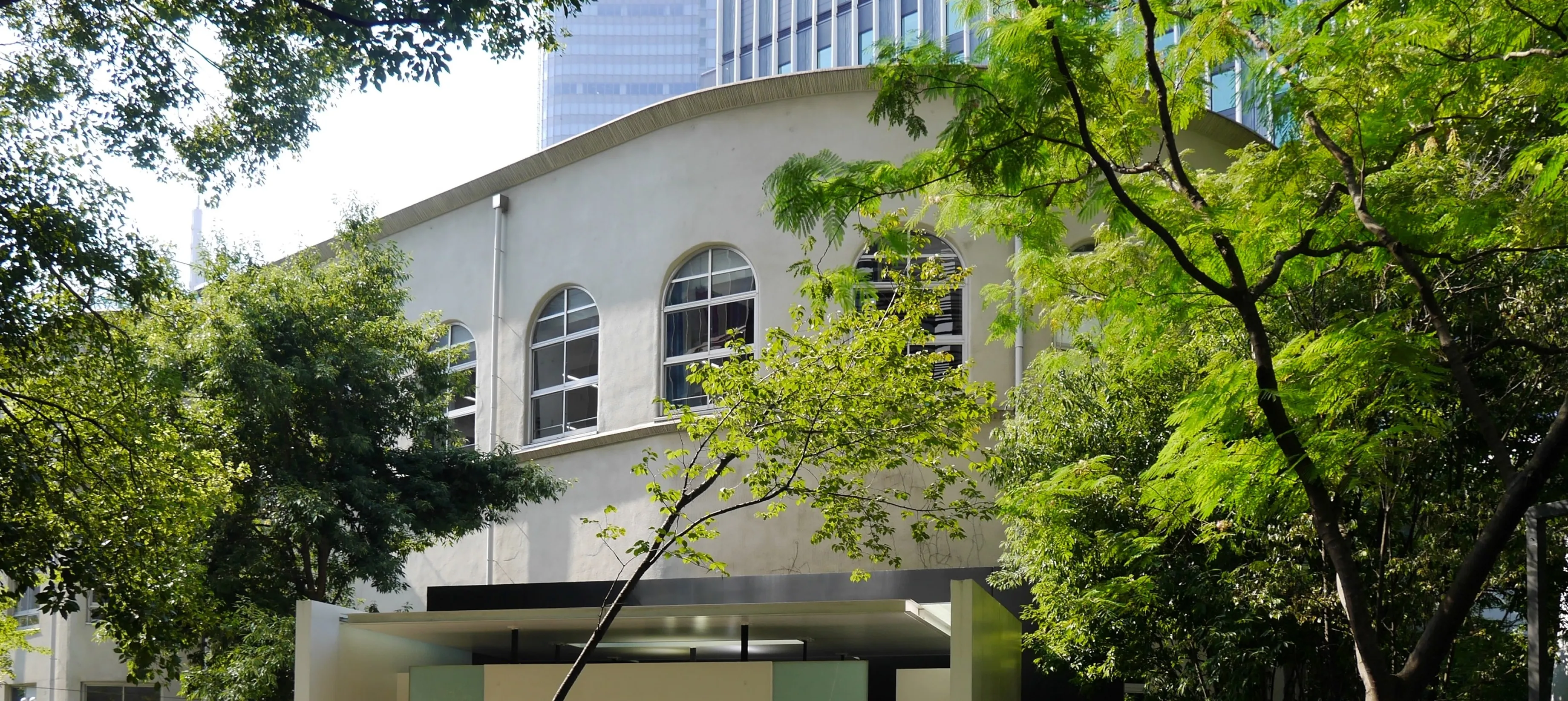 中央区立泰明小学校 今