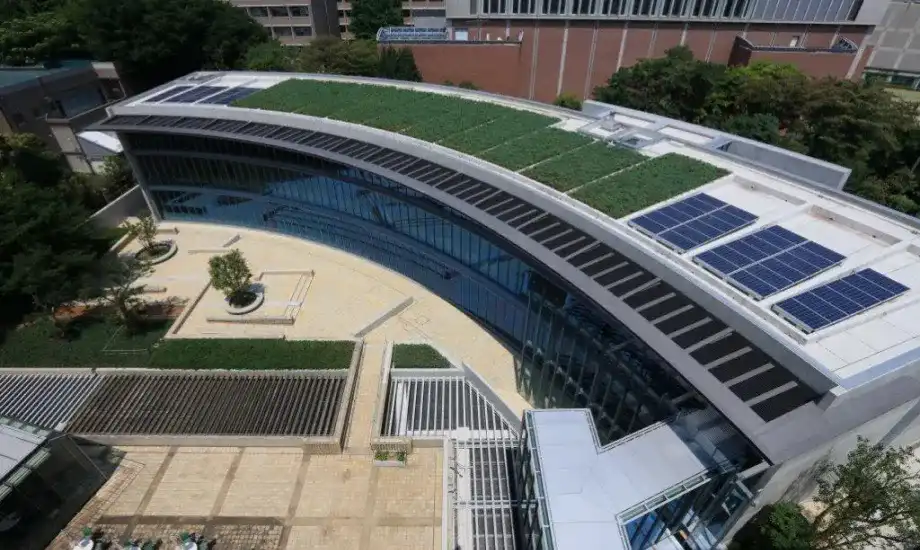 屋上緑化と太陽光パネル