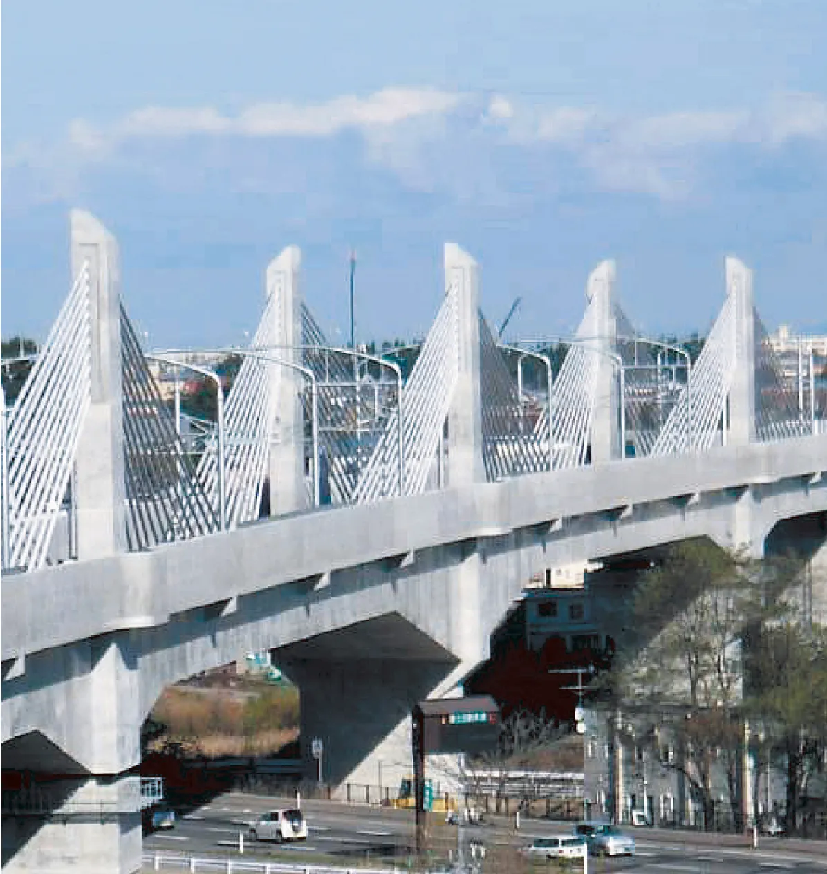 Sannai Maruyama Overbridge