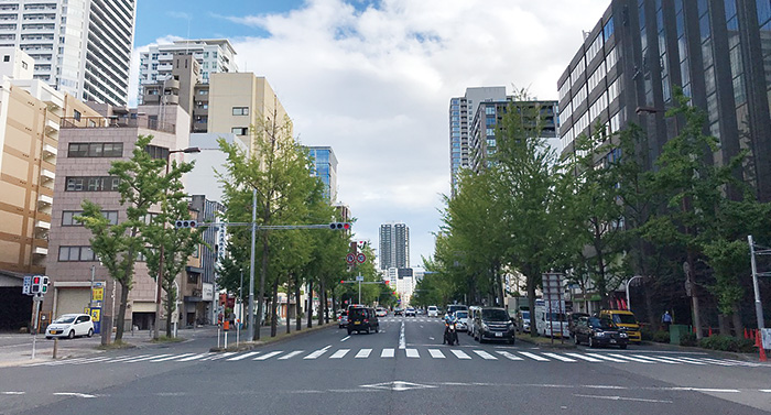 建設予定地の現況(地上)