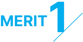 MERIT1
