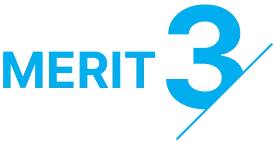 MERIT3