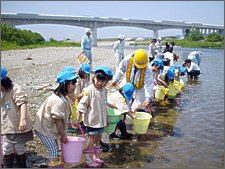 アユの稚魚放流