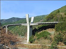 2010年3月