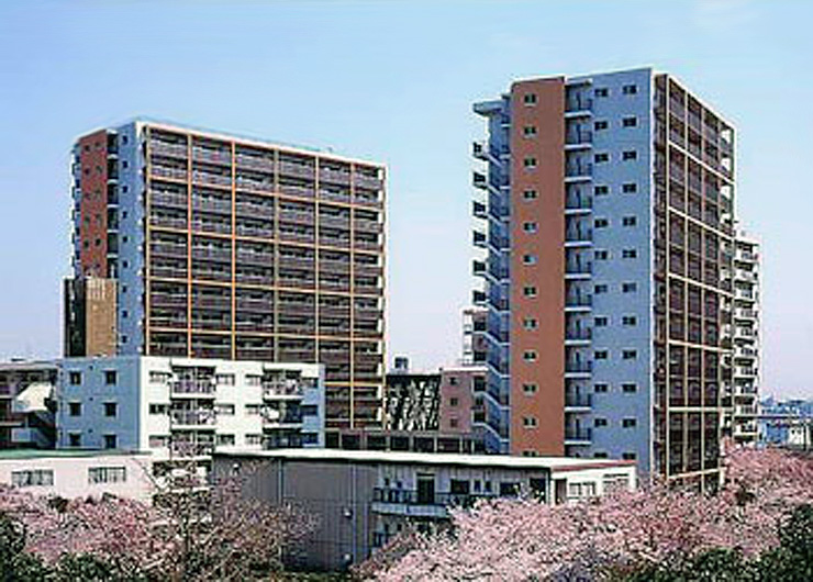 Tokyo River Gate