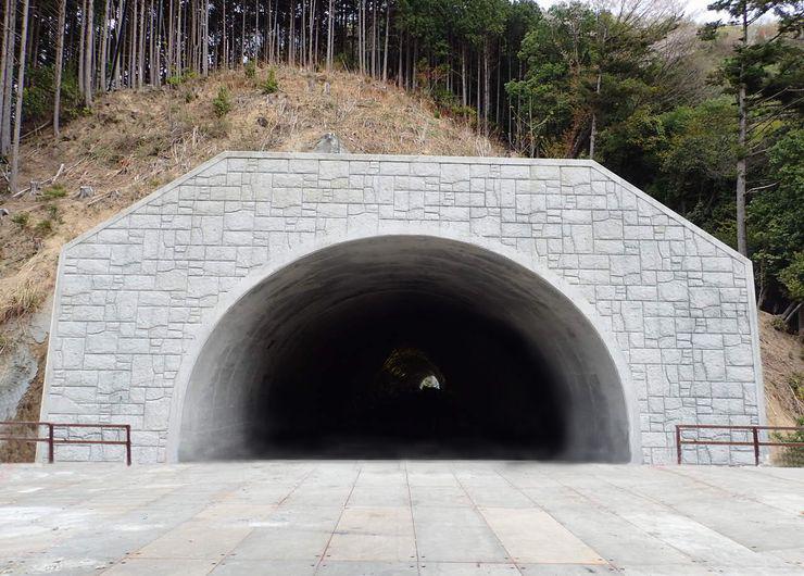 中部横断帯金第１トンネル